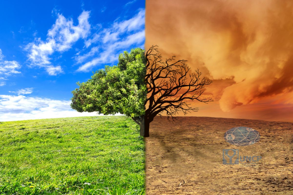 Climate Resilience